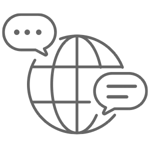20+ languages supported